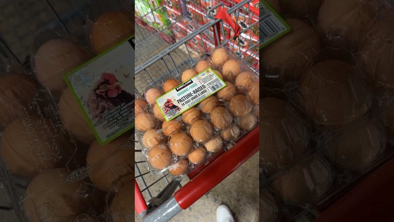 youtube placeholder image